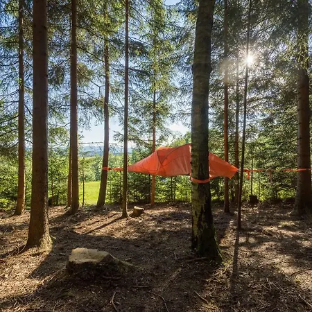 Baumzelt Am Waldesrand *