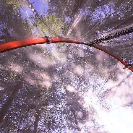 Baumzelt Am Waldesrand *