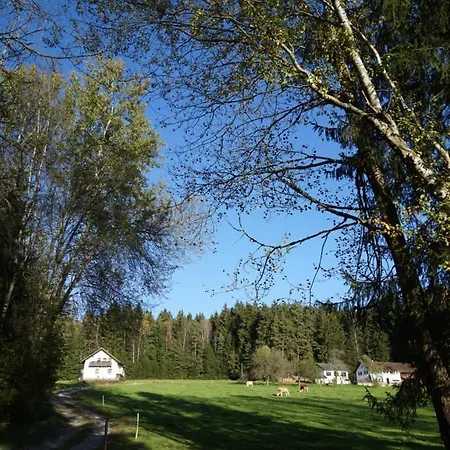 Baumzelt Am Waldesrand