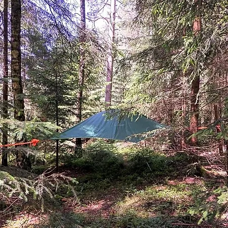 Baumzelt Am Waldesrand * Regen
