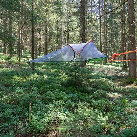 Luxussátor Baumzelt Am Waldesrand Regen