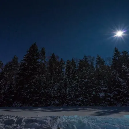 Baumzelt Am Waldesrand Luxussátor Regen
